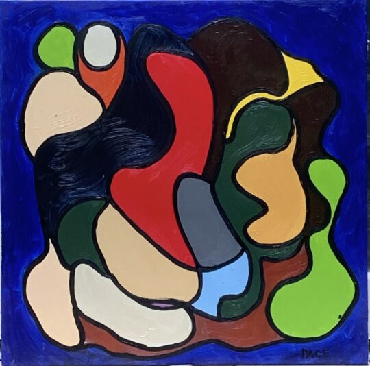 Giorgio Pace - 10G Tucano marzo 2019 50x50cm